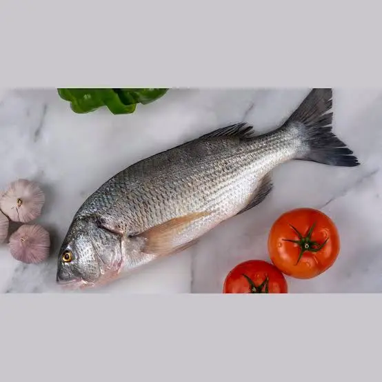 سبيتي | Sobaity Seabream