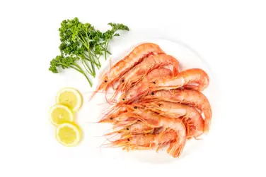 جمبري صغير | Small shrimp
