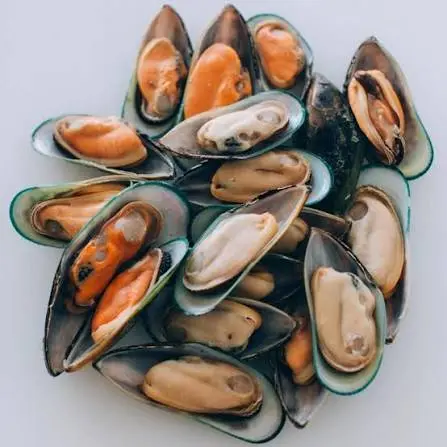 بلح بحر - محار | mussels